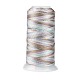 セグメント染色ラウンドポリエステルミシン糸  手縫い・ミシン用  タッセル刺繡  銀  3プライ0.2mm  約1000m /ロール OCOR-Z001-A-02-1