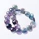 Natural Fluorite Beads Strands G-K267-01B-2