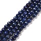 Dyed Natural Lapis Lazuli Beads Strands G-E571-16A-1