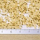 MIYUKI Delica Beads Small X-SEED-J020-DBS0033-4
