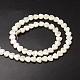 Chapelets de perles de coquille de trochid / trochus coquille SSHEL-K012-04-2