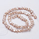 Natural Cultured Freshwater Pearl Beads Strands PEAR-P002-53D-2