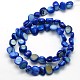 Dyed Natural Freshwater Shell Beads Strands SHEL-J003-M-3