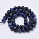 Natural Sodalite Beads Strands G-S281-07-8mm-2