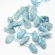 Electroplate de piedras preciosas abalorios de cristal de cuarzo natural hebras G-L135-10-3