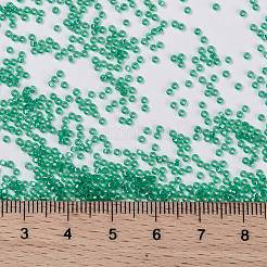 Perles rocailles miyuki rondes&nbsp;X-SEED-G009-RR0572