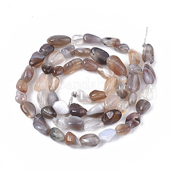 Chapelets de perles en agate naturelle du Botswana&nbsp;LS-G-S363-043