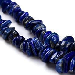 Natürlicher Lapislazuli Perlenstränge&nbsp;G-F328-15-A