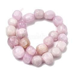 Naturperlen Stränge kunzite&nbsp;G-P601-A14-03