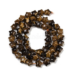 Chapelets de perles d'œil de tigre naturel&nbsp;G-Z080-A16-8mm
