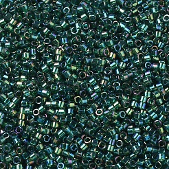 Miyuki Delica Perlen&nbsp;SEED-X0054-DB0175