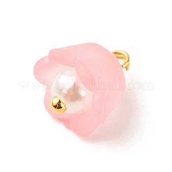 Charms acrilico trasparente&nbsp;PALLOY-JF01603-01