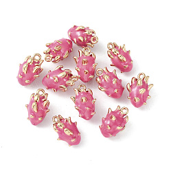 Messing Emaille Anhänger / charms&nbsp;KK-G462-25LG