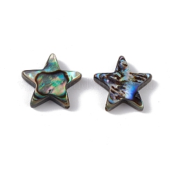 Natürliche Abalone-Muschel / Paua-Muschelperlen&nbsp;SSHEL-M021-07