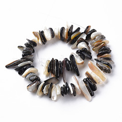 Natürliche schwarze Lippenschalenperlenstränge&nbsp;SSHEL-N304-102