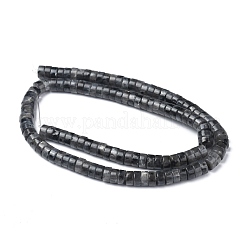 Natürliche schwarze Larvikit-Perlenstränge&nbsp;G-Z006-C31