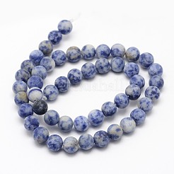 Fili di perline rotondi di diaspro blu naturale&nbsp;G-D679-10mm
