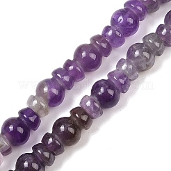 Natürlichen Amethyst Perlen Stränge&nbsp;G-P595-B05-01