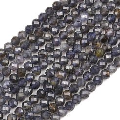 Naturperlen Stränge iolite&nbsp;G-RM250101-D7