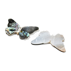 Natürliche Süßwassermuschel&nbsp;BSHE-G034-08