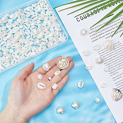 DIY Muschelform Acryl & ABS imitierte Perlen Perlen Zubehörse Kits&nbsp;DIY-HY0002-65