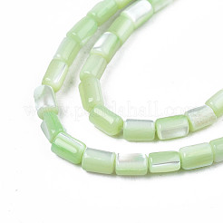 Fili di perle di conchiglia trochid naturale / trochus&nbsp;X-SHEL-N003-26-B08