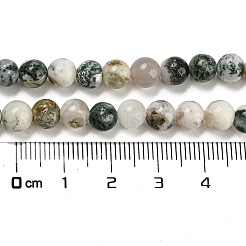 Hebras de cuentas redondas de piedras preciosas de ágata de árbol natural&nbsp;X-G-R255-6mm