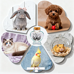 2 bouteille vide en verre transparent imprimé simple face&nbsp;MP-WH20001-002