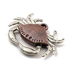 Tibetischer stil Aluminium Anhänger & Charms&nbsp;FIND-C052-20R