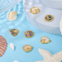 6 stücke 6 arten 304 edelstahl pflastern natürliche gemischte shell anhänger&nbsp;STAS-TA0005-42