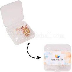 Fare orecchino fai-da-te&nbsp;PH-DIY-G005-40