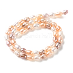 Fili di perle di perle d'acqua dolce coltivate naturali&nbsp;PA-CBABE82-01B