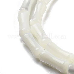 Natürliche Trochidschale / Trochusschalenperlenstränge&nbsp;BSHE-G038-03