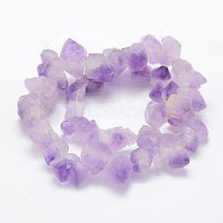 Natürlichen Amethyst Perlen Stränge&nbsp;G-P322-09
