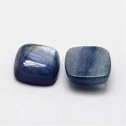 Cabochon quadrati naturali di cianite / cianite / diamene&nbsp;G-O148-01B