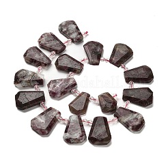 Perles de tourmaline fleurs de prunier naturel brins&nbsp;G-H078-A01-01
