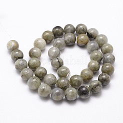Labradorite naturale fili di perline&nbsp;G-G735-29-6mm