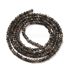 Hebras de cuentas de obsidiana con brillo de plata natural&nbsp;G-E608-A02-A