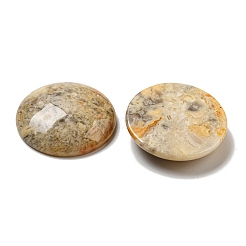 Cabochon agata folli naturali&nbsp;G-C115-02B-23