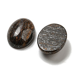 Cabochon naturali in bronzite&nbsp;G-C115-01A-21