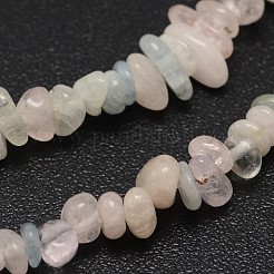 Chips natürlichen bunten morganite Perlen Stränge&nbsp;G-N0164-59