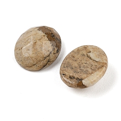 Cabochon di diaspro dell'immagine naturale&nbsp;G-Q186-01A