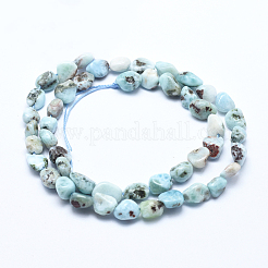 Natürliche larimar Perlenstränge&nbsp;G-E483-47