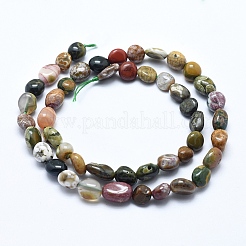 Natur Ozean Jaspis Perlen Stränge&nbsp;X-G-E483-39A