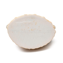 Undurchsichtige Harz-Decoden-Cabochons im Obstimitat&nbsp;LS-RESI-G076-01E