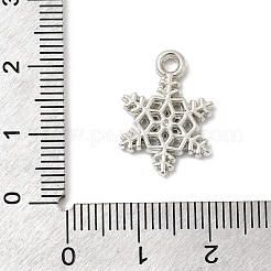 Pendentifs en plastique CCB&nbsp;CCB-I007-08P