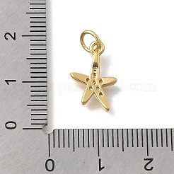 Messing micro pave klar zirkonia charme&nbsp;KK-D431-053D-G