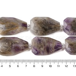 Natürlichen Amethyst Perlen Stränge&nbsp;G-P548-B08-01