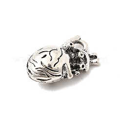 Tibetischer stil Aluminium Anhänger & Charms&nbsp;FIND-NH0001-17AS-02