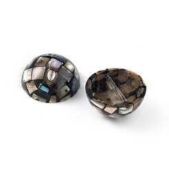Synthetische Abalone-Muschel-/Paua-Muschelperlen&nbsp;SSHEL-K001-001A